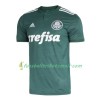 Fußballtrikots Palmeiras 2018-2019 Kurzarm Heimtrikotsatz kaufen